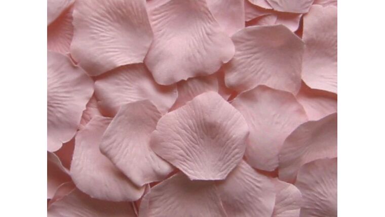 Petals (Blush Pink Color) Artificial Flowers rental for events in Atlanta