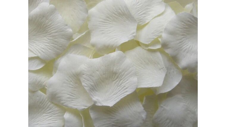 Petals (Ivory Color) Artificial Flowers rental for events in Atlanta