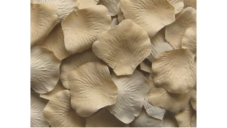 Petals (Sand Color) Artificial Flowers rental for events in Atlanta