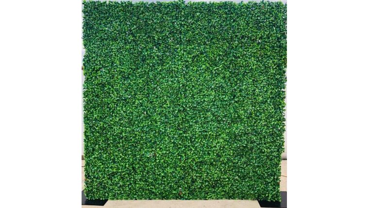 Backdrop- Boxwood without decor Backdrops rental for events in Atlanta