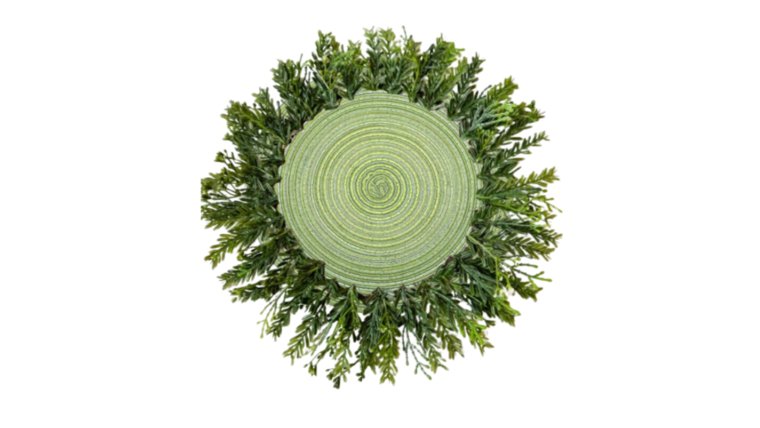 Charger Placemat- Woven with Greenery Boarder Dinnerware rental for events in Atlanta