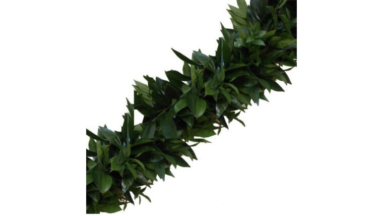 Garland, Cocculus and Italian Ruscus Garlands rental for events in Atlanta