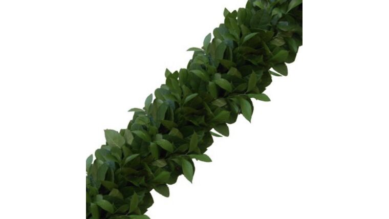 Garland, Israeli Ruscus and Salal Garlands rental for events in Atlanta