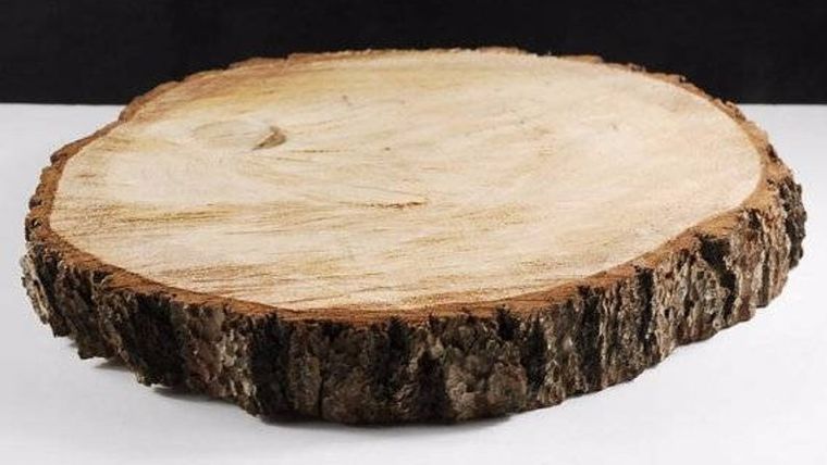 Rustic Cake Slab Plants rental for events in Atlanta