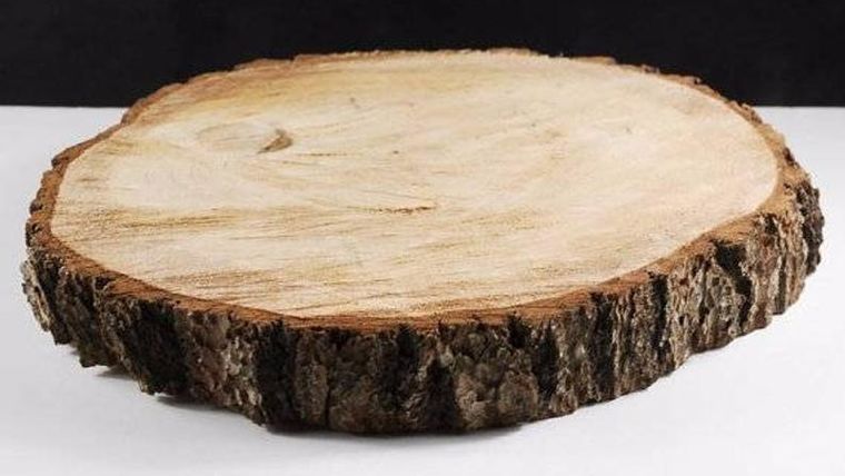Rustic Wooden Slabs Plants rental for events in Atlanta