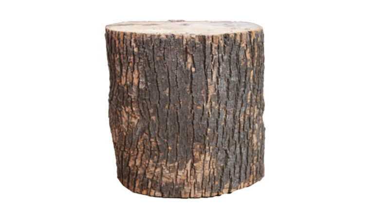 Wooden Stump Plants rental for events in Atlanta