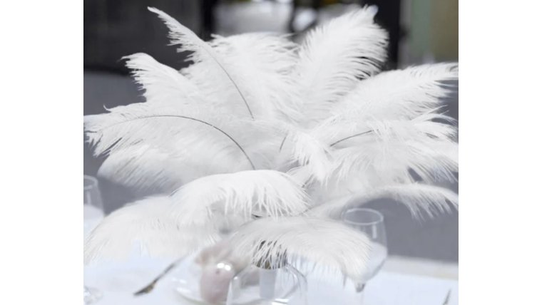 Floral Stem- White Ostrich Feather Props rental for events in Atlanta