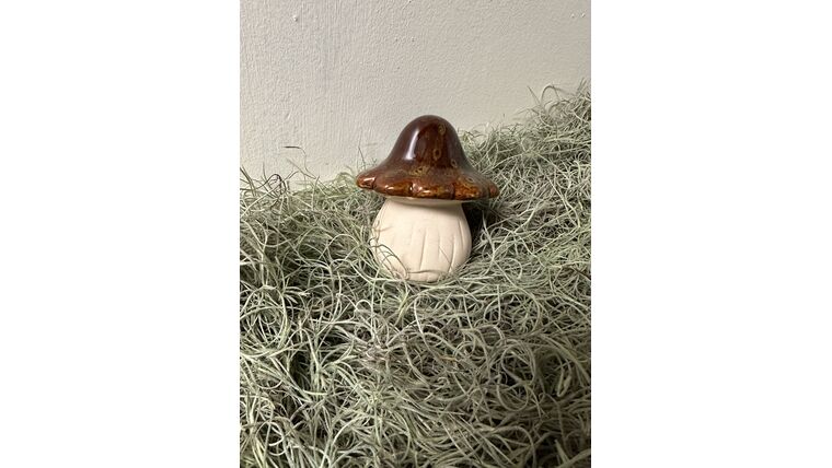 mushroom- large Brown Prop Props rental for events in Atlanta