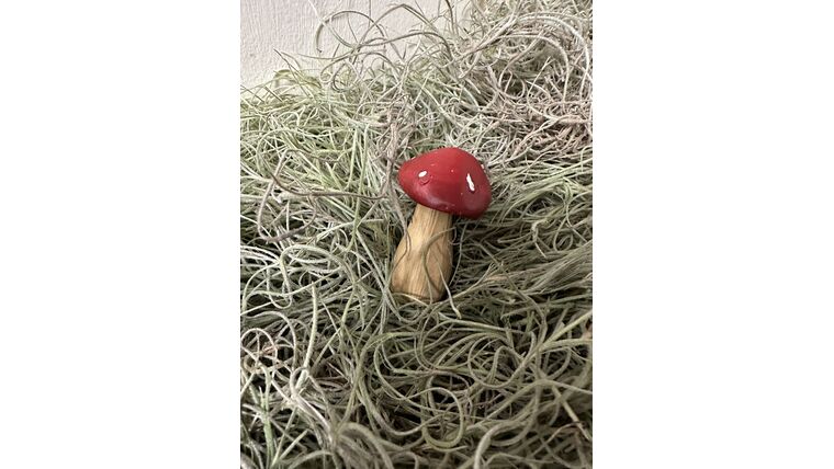 mushroom- small red prop Props rental for events in Atlanta