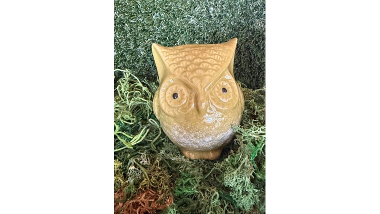 Owl- Green Large Prop Props rental for events in Atlanta