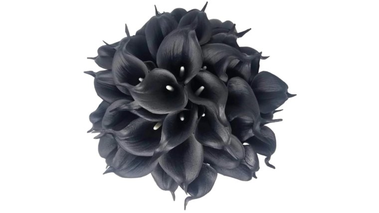 Floral- Real Touch Black Calla Lily Stems rental for events in Atlanta