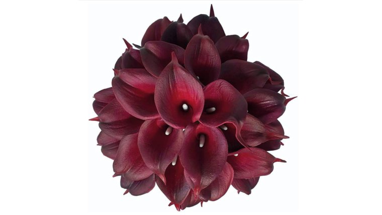 Floral- Real Touch Burgundy Calla Lily Stems rental for events in Atlanta