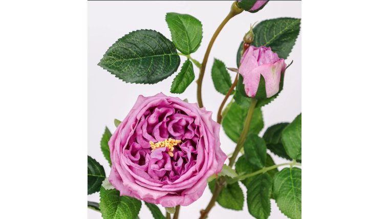 Floral- Real Touch Mauve Lavender 3-Head English Austin Cabbage Rose Stem Stems rental for events in Atlanta