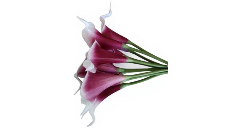 Floral- Real Touch Mauve White Calla Lily Stems rental for events in Atlanta