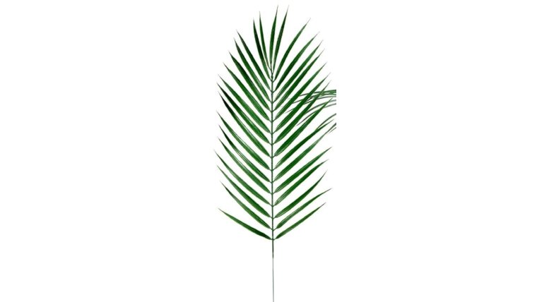Floral- Real Touch Palm Leaves Stems rental for events in Atlanta
