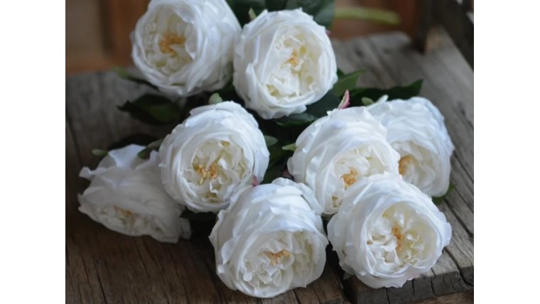 Floral- Real Touch White English Austin Cabbage Rose Stem Stems rental for events in Atlanta