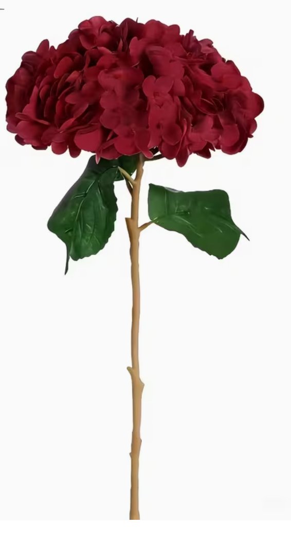 Floral Stem- Burgundy Hydrengas Stems rental for events in Atlanta