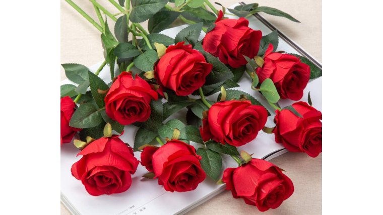 Rose- Red Silk Stems rental for events in Atlanta
