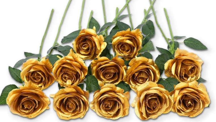 Roses- Gold Stems rental for events in Atlanta