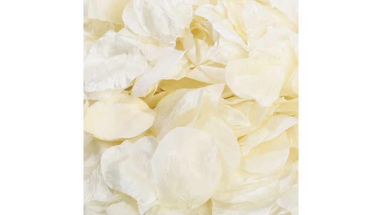 Scatter Moderate Coverage Silk Petals to Wedding Aisle Stems rental for events in Atlanta