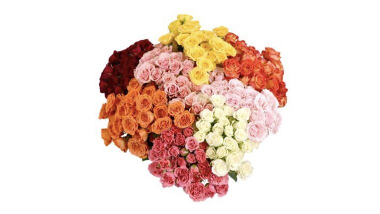 Spray Roses Stems rental for events in Atlanta